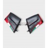 Ali in carbonio personalizzate per DUCATI PANIGALE V4R 2023