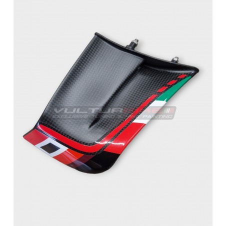 Ailes Carbone Custom pour DUCATI PANIGALE V4R 2023