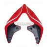 Custom carbon tail - Ducati Panigale V4R 2019