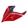 Custom carbon tail - Ducati Panigale V4R 2019