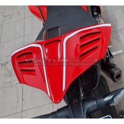 Coda in carbonio personalizzata - Ducati Panigale V4R 2019