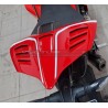 Custom carbon tail - Ducati Panigale V4R 2019