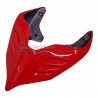 Cola de carbono personalizada - Ducati Panigale V4R 2023