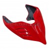 Custom carbon tail - Ducati Panigale V4R 2023