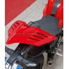 Custom carbon tail - Ducati Panigale V4R 2023