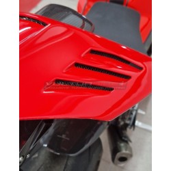 Custom Carbon Heck - Ducati Panigale V4R 2023