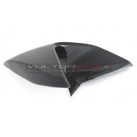 Obere Carbon-Seitenverkleidungen - Ducati Diavel V4