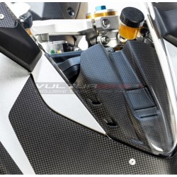 Abdeckung des Carbon-Instruments - Ducati Panigale V4 / V4S
