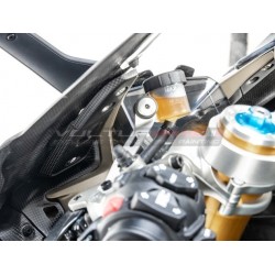Couvercle d’instrument en carbone - Ducati Panigale V4 / V4S