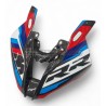 Custom Carbon Windschild - BMW S 1000RR 2023