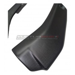 Cache Radiateur Inférieur Carbone - Ducati Streetfighter V4 / V4S