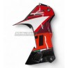 Individuelles Carbon-Abrichtset - Ducati DesertX