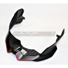 Cupolino frontale completo in carbonio versione esclusiva - Ducati Streetfighter V4 / V2
