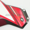 Individuelles Carbon-Abrichtset - Ducati DesertX
