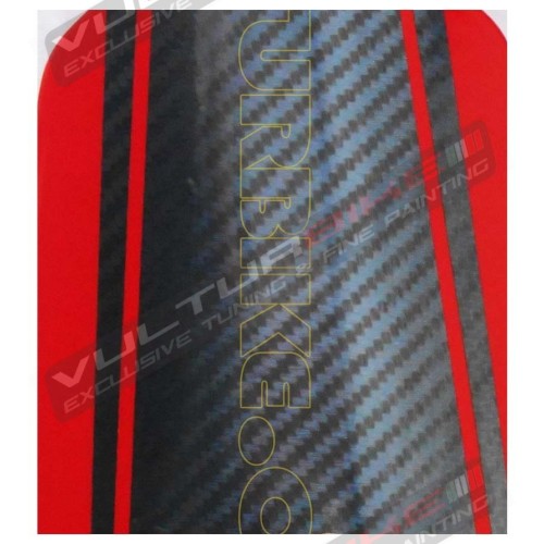 Kit autocollants Tank and Codon - Ducati Panigale 899/1199