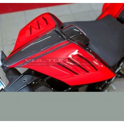 Carbon Heck Vulturbike Design - Ducati Panigale / Streetfighter