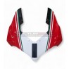 Cupolino in carbonio personalizzato - Ducati Panigale V4 2022 / 2024