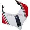 Cupolino in carbonio personalizzato - Ducati Panigale V4 2022 / 2024