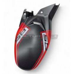 Carbon Kotflügel hinten - Ducati Multistrada V4 RS