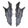 Carbon-Tankspitze für Ducati Multistrada V4 Rally BRUSHED ALUMINIUM Version