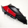 Carbon-Tankspitze für Ducati Multistrada V4 Rally BRUSHED ALUMINIUM Version