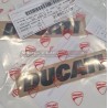 Punta del depósito de carbono para Ducati Multistrada V4 Rally versión ALUMINIO CEPILLADO