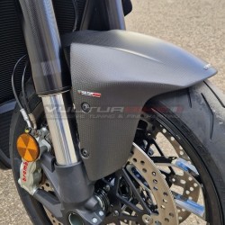 Carbon front fender - Ducati Diavel V4 from 2022