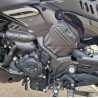 Carbon Ritzelabdeckung - Ducati Diavel V4