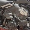 Motorabdeckung aus Carbon rechts und links - Ducati Diavel V4