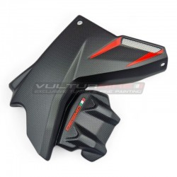 Paneles laterales de carbono debajo del depósito - Ducati Multistrada V4 RS