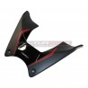 Custom Design Carbon Tank Cover - Ducati Diavel V4