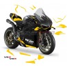 Set decalcomanie colore personalizzato per Ducati Panigale V4
