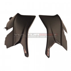 Carbon Cover & Lug Set - Ducati Multistrada V4 RS / Rally