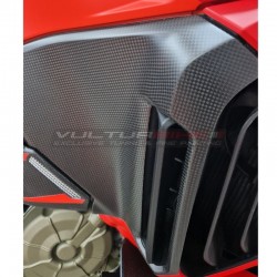 Cubierta lateral y soporte de ala - Ducati Multistrada V4 RS