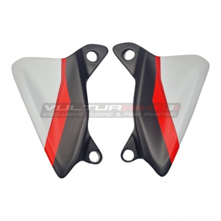 Déflecteurs en fibre de carbone - Ducati Multistrada V4 RS Design
