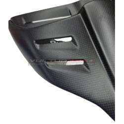 Queue carbone Sportage - Ducati Panigale / Streetfighter V4 / V2