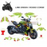 Kit adesivi completo stile Lamborghini - Ducati Diavel V4