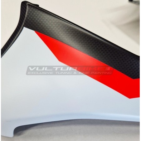 Exklusives Paket Windschutzscheibe - Deflektoren - Windschutzscheibe aus Kohlefaser - Ducati Multistrada V4 RS