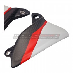 Exlusive Package "Windshield - Deflectors - Windshield" in carbon fiber - Ducati Multistrada V4 RS