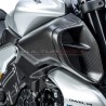 Par de transportadores de caja de aire de carbono - Ducati Diavel V4