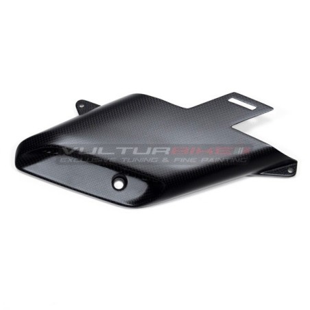 Paar Carbon-Airbox-Förderer - Ducati Diavel V4