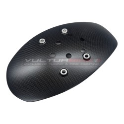 Carbon Schmutzfänger für Ducati Diavel V4