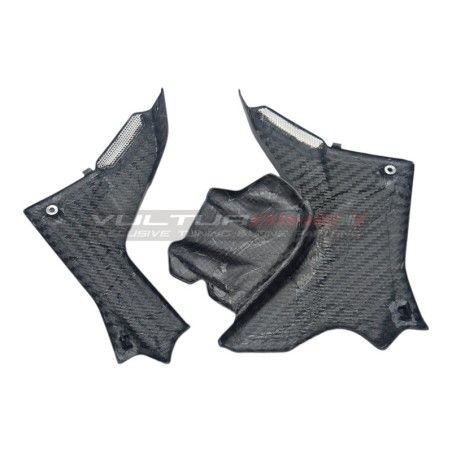 Carbon tank side panels - Ducati Multistrada V4 Rally