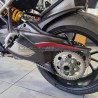 Cubierta de carbono para basculante - Ducati Multistrada V4 Pikes Peak / V4RS