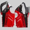 Mix design graphique V4R / V4SP Anniversario - Ducati Panigale V4