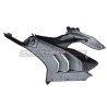 Set Carene laterali  in carbonio per DUCATI PANIGALE V4 