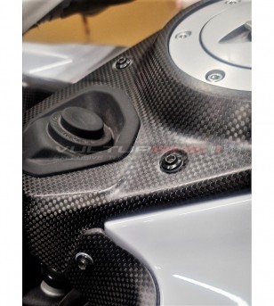 Cover in carbonio per vano portaoggetti con ventola - Ducati Multistrada V4