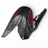 Parafango posteriore in carbonio personalizzato - Ducati Diavel V4 
