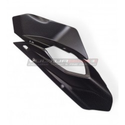 Carbon Front Chain Guard - Ducati Multistrada V4 2024