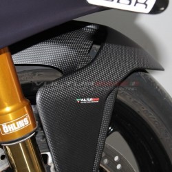 New custom carbon front fender - Ducati Streetfighter V2 Storm Green